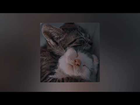 Видео: Parfeniuk-провела екскурсію (speed up) 1 година