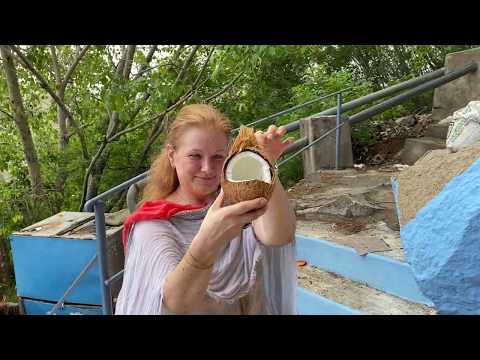 Видео: Индия l Дерево Желаний l Путь указал Баба l Моя Родина Земля