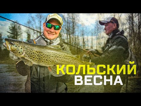 Видео: Кольский полуостров. Ловля семги и кумжи. Мой первый опыт.