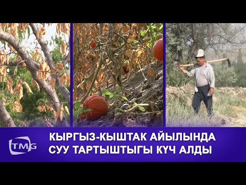 Видео: КЫРГЫЗ-КЫШТАК АЙЫЛЫНДА СУУ ТАРТЫШТЫГЫ КҮЧ АЛДЫ
