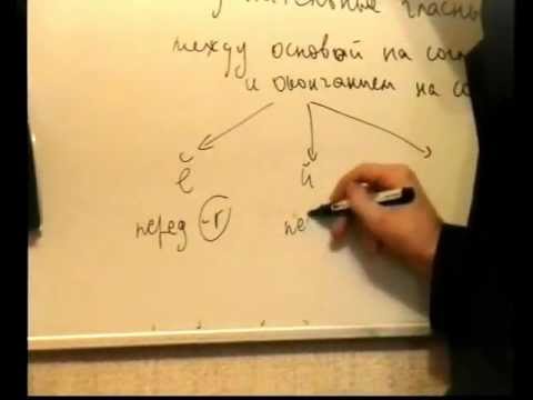 Видео: Урок 12. Латинский глагол, основы и окончания.avi