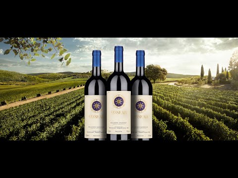 Видео: Чем отличается дорогое вино от дешевого