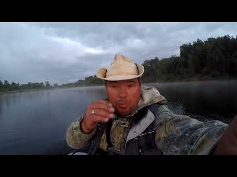 Видео: Залив Енисея.