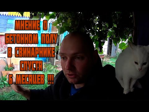 Видео: БЕТОННЫЙ ПОЛ В СВИНАРНИКЕ СПУСТЯ ПОЛ ГОДА ИСПОЛЬЗОВАНИЯ!!! ( отчет )