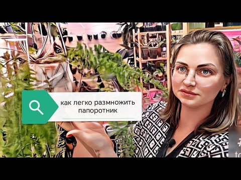 Видео: как легко размножить папоротник/пересадка нефролеписа