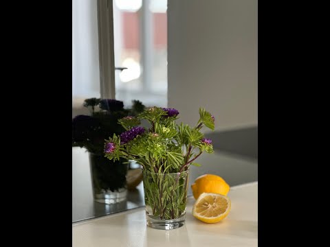 Видео: Прямой эфир от 2 сентября 2023 г