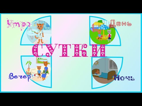 Видео: Что такое сутки?