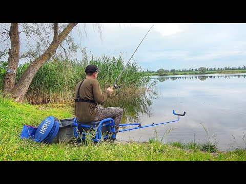 Видео: РЫБАЛКА на ФИДЕР ЛЕТОМ в СТОЯЧЕЙ ВОДЕ!!! КАК ЛОВИТЬ ФИДЕРОМ на ОЗЕРЕ или ПРУДУ