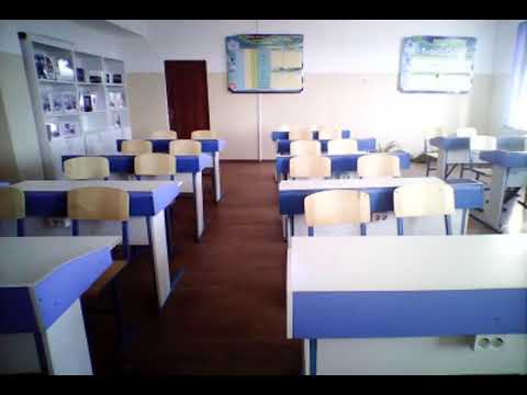 Видео: Түлкібас аудандық білім бөлімі Олимпиада