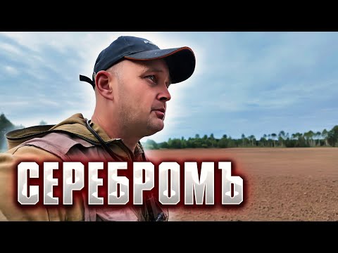 Видео: НАШЁЛ РАСПАХАННОЕ ПОСЕЛЕНИЕ С СЕРЕБРОМ.