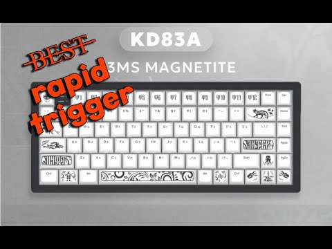 Видео: Обзор Дарк Проджект KD83 g3ms Magnetite