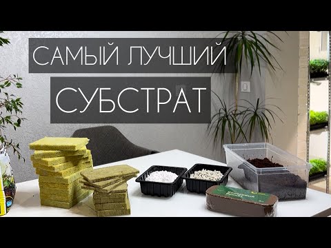Видео: САМЫЙ ЛУЧШИЙ СУБСТРАТ! #микрозелень #субстрат
