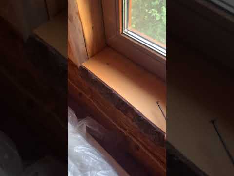 Видео: Средство против короеда(шешеля),работает 100%.