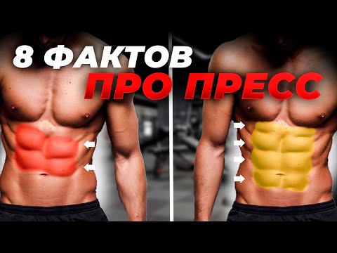 Видео: 8 ФАКТОВ ПРО ПРЕСС, О КОТОРЫХ НИКТО НЕ ГОВОРИТ
