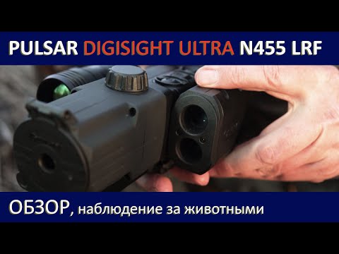 Видео: Pulsar Digisight Ultra N455 LRF. Обзор, наблюдение за животными.