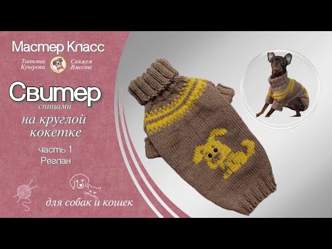 Видео: Свитер для собаки на круглой кокетке спицами, часть 1