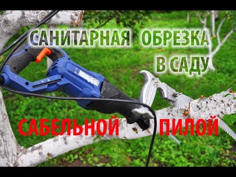 Видео: Обрезка деревьев сабельной пилой. Обзор сабельной пилы.