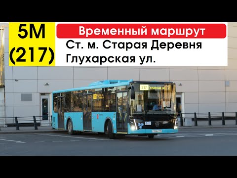 Видео: Автобус 5М (217) "Ст. м. "Старая Деревня" - Глухарская ул." (временный маршрут) (маршрут закрыт)