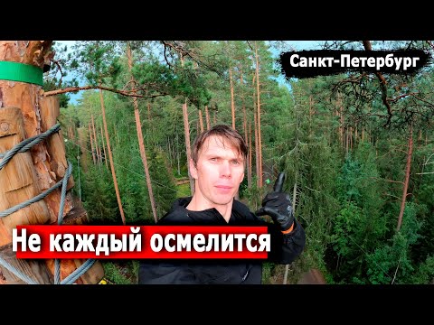 Видео: Самый высокий веревочный парк в Спб. Прохождение от первого лица.