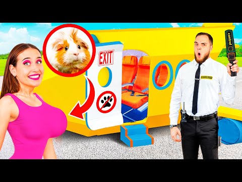 Видео: Как Пронести Домашних Животных в Самолёт | Смешные Cитуации от TeenChallenge