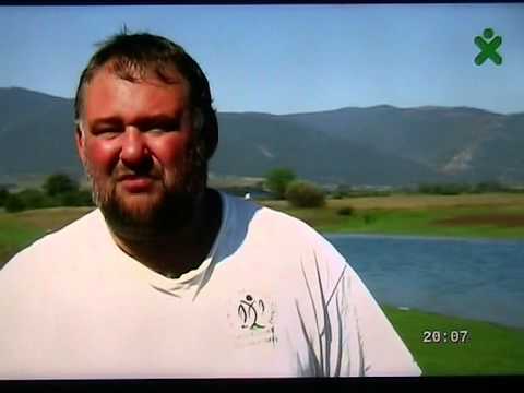 Видео: Диви шарани на Жребчево