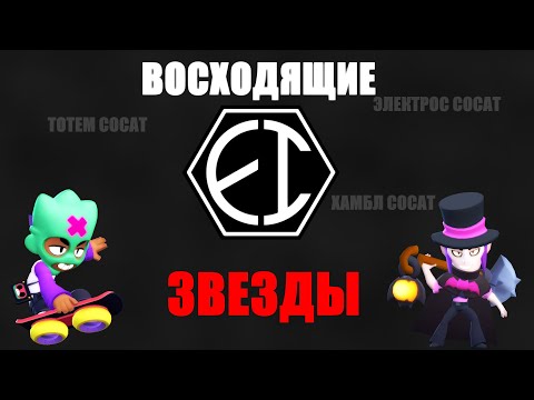 Видео: Вот Как Eclipsar УНИЧТОЖИЛИ Все Самые СИЛЬНЫЕ Команды На March Monthly Finals