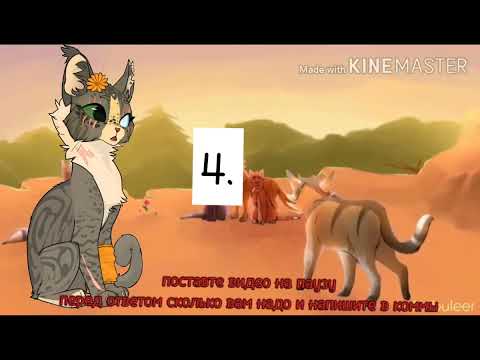 Видео: тест на целителя по котам воителям