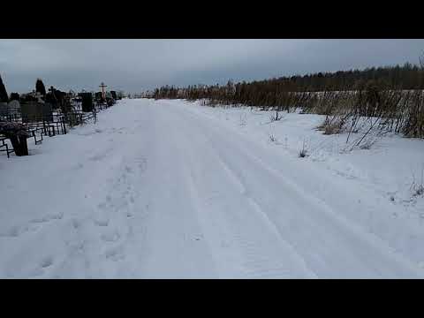 Видео: Про темперамент и характер. и немножечко щенков)
