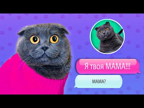 Видео: ПЕРЕПИСКА С ФЕЙКОМ МАМЫ БАТТЕРС | МАМА ХОЧЕТ ЗАБРАТЬ КОТИКА ! ПИТОМЦЫ ПРОТИВ!