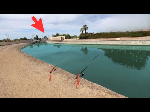 Видео: Каково это — ловить рыбу на канале в Аризоне (неожиданно)