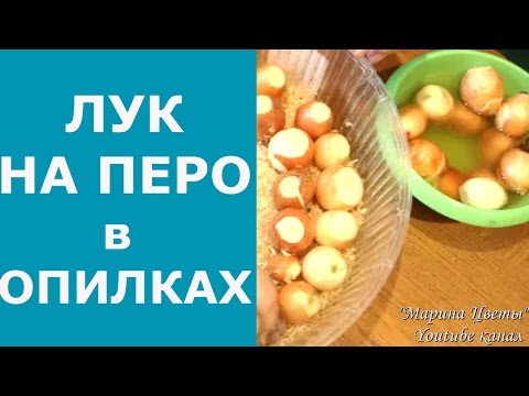 Видео: Зеленый лук на перо !Идеальный способ! Дома и для бизнеса. Мобильные грядки, мостовой способ