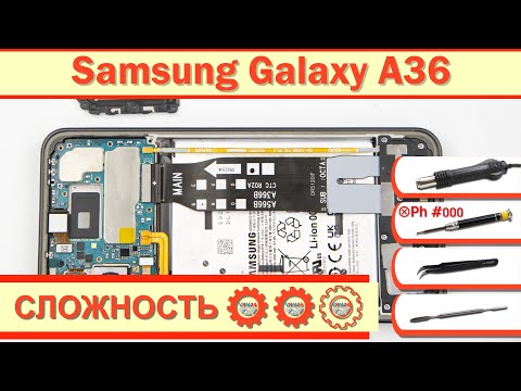 Видео: Как разобрать Samsung Galaxy A36 SM-A366 Разборка в деталях