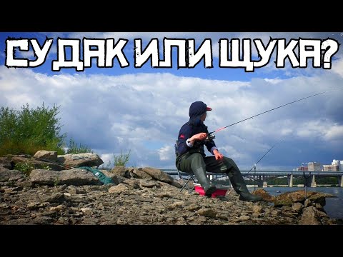 Видео: ДУМАЛ НЕ ВОЗЬМУ ЭТО!!! Закинул на ЖИВЦА и НАЧАЛОСЬ! Рыбалка 2024