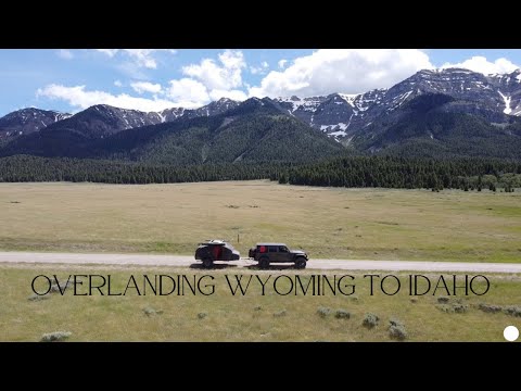 Видео: Пересадка в Вайоминге и Айдахо