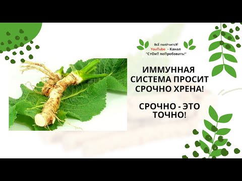 Видео: ХРЕН | Чем полезен хрен? |  Хрен - народный лекарь | Хреновина - самый полезный рецепт