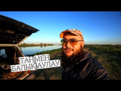 Видео: Өзім таңмен балық аулауға шықтым, мақсат сазан және шортан, көксерке балығын ұстау. 