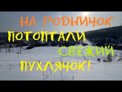 Видео: На родничок // потоптали пухлячок // тест щепочницы
