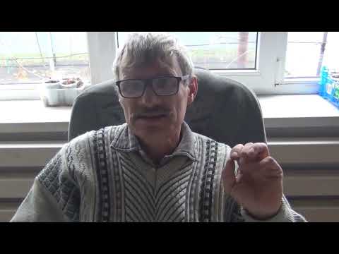 Видео: Дегустация табака , Плиска типичная и Крепыш