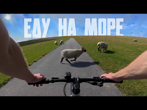 Видео: Купил велосипед и поехал 300 км на море!