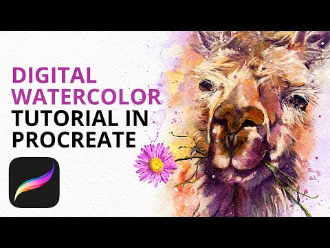 Видео: Рисование ламы с помощью цифровой акварели в Procreate