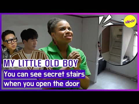 Видео: (МОЙ МАЛЕНЬКИЙ МАЛЬЧИК) Вы можете видеть секретные лестницы, когда вы открываете дверь (ENGSUB)
