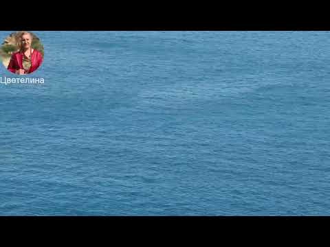 Видео: Безверието ми ме уби!
