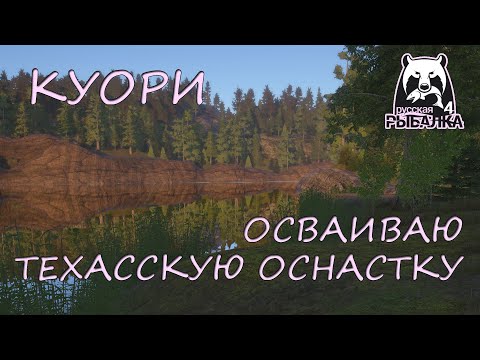 Видео: Русская рыбалка 4. Куори. Спиннинг. Техасская оснастка.