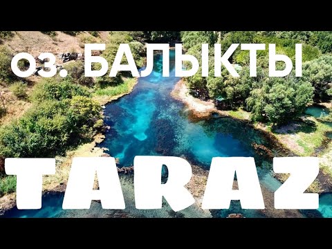 Видео: Тараз - озеро Балықты #тараз #taraz #казахстан