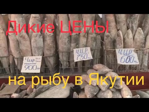 Видео: СМОТРИ какие ЦЕНЫ на рыбу