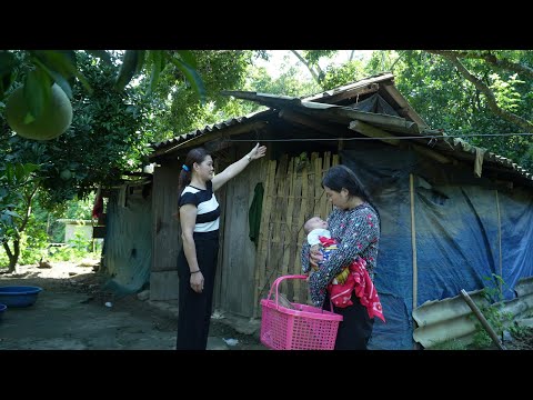 Видео: Добрая женщина отдала заброшенный дом молодой секретарше и двухмесячной девочке, брошенной матерью