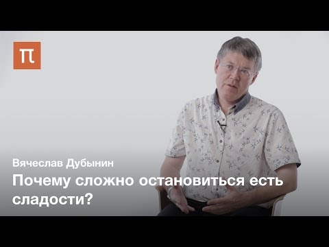 Видео: Мозг и голод — Вячеслав Дубынин на ПостНауке