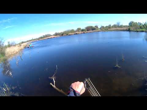 Видео: Рыбалка с рогаткой.охота с рогаткой.ловля сазана с рогаткой