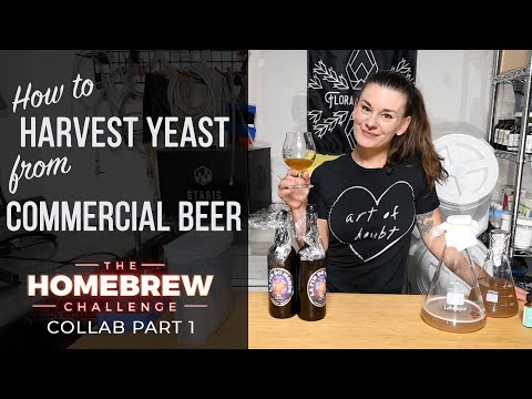 Видео: Как собрать дрожжи из коммерческого пива | Homebrew Challenge Collab, часть 1