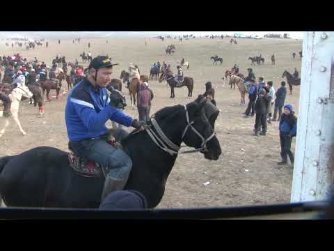 Видео: ЕСІМ ПАЛУАН ШАБАНДОЗДАРДЫҢ АЙҚАЙЫН АЙТТЫ
